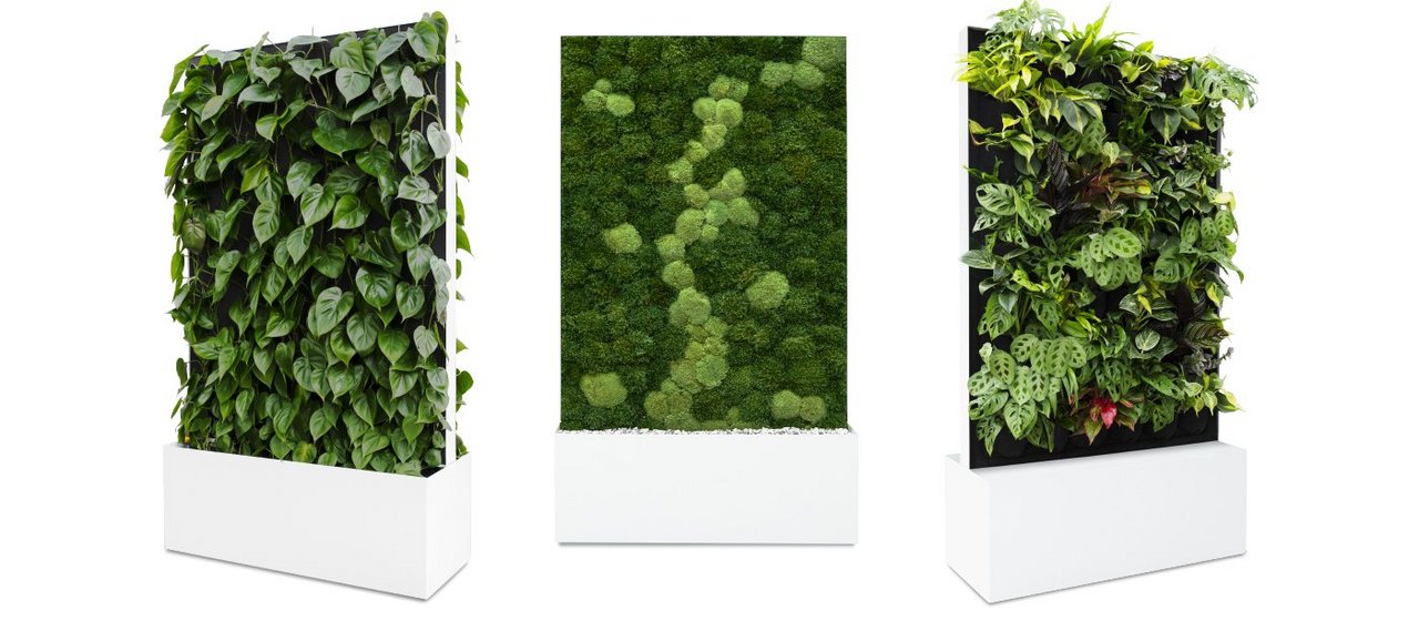 Grüne Raumteiler mit Pflanzen für flexible Innenraumbegrünung